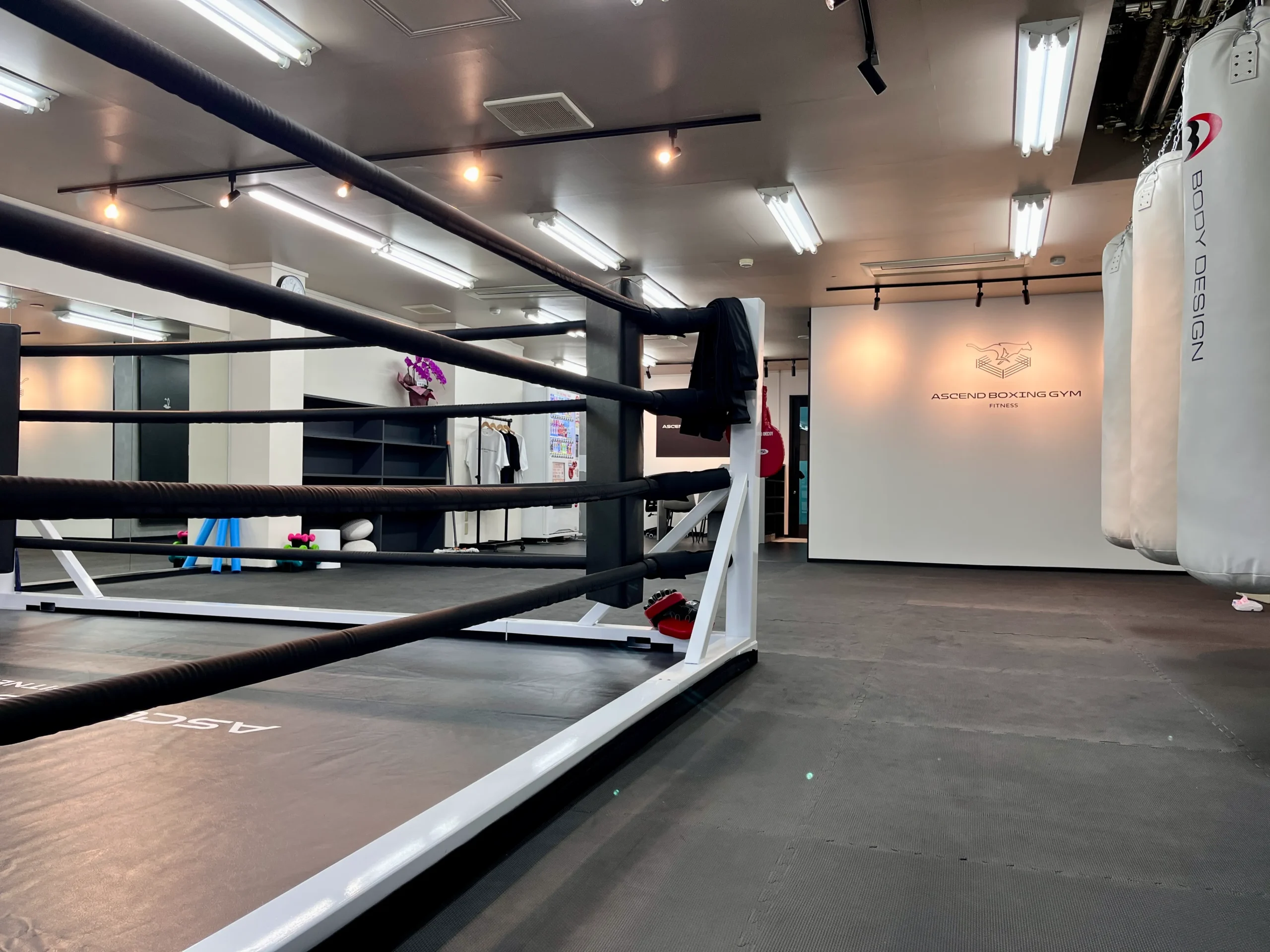 ランニングvsボクシング　ダイエットに本当に効果的なのは？